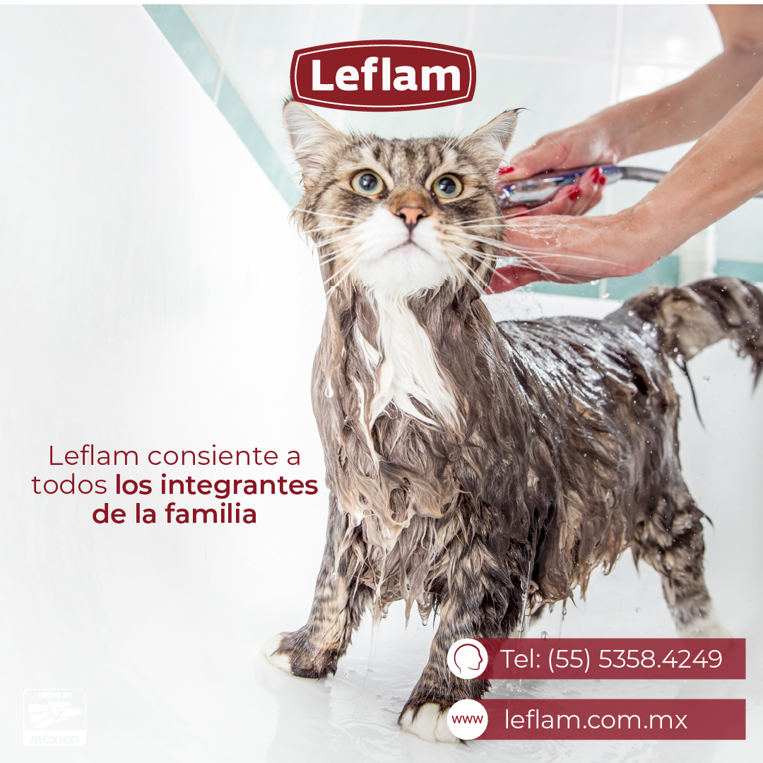 Equipo industrial Leflam